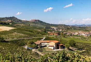 Langhe vineyards near Barolo and La Morra, Unesco Site, Piedmont, Italy