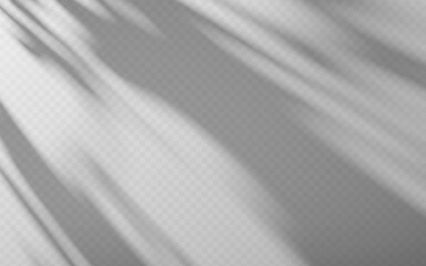 Abstract shadow overlay from tree branch on a transparent background.