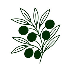 Olive branch with dark leaves and fruit in minimal flat style vector illustration
