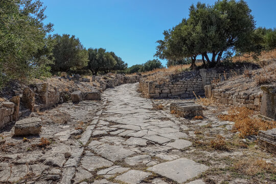 roman road leading into ruins