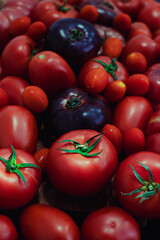Close-up of fresh organic tomatoes of different varieties, symbol of natural farming, healthy lifestyle and sustainable agriculture.
