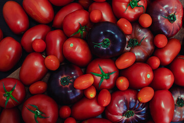 Assorted tomatoes, top view of colorful organic vegetables