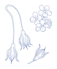 Delicate Blue Line Art of Various Flowers and Buds