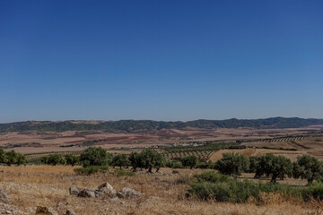 tunisian rural landscape