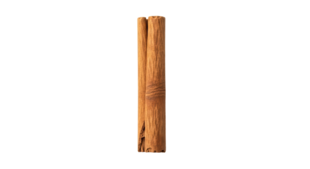 Isolated cinnamon stick with reddish-brown bark, culinary spice in a vertical orientation