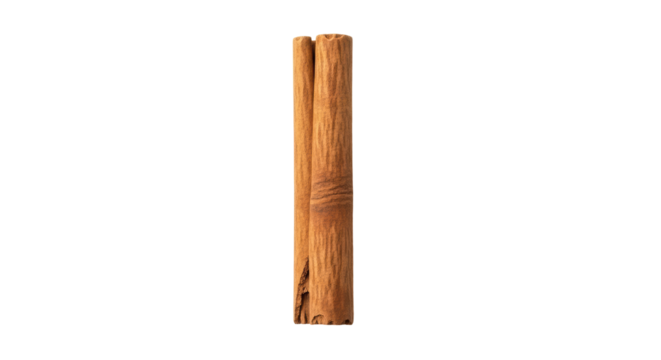 Isolated cinnamon stick with reddish-brown bark, culinary spice in a vertical orientation