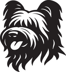 Briard Dog in Black and White – Elegant French Herding Breed Photography