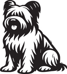 Briard Dog in Black and White – Elegant French Herding Breed Photography