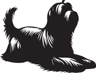 Obraz premium Briard Dog in Black and White – Elegant French Herding Breed Photography