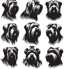 Briard Dog in Black and White – Elegant French Herding Breed Photography