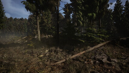 Dense trees create a mysterious atmosphere in a forest at dawn, with sunlight filtering through the branches. The ground is carpeted with earthy tones, hinting at hidden wonders nearby.