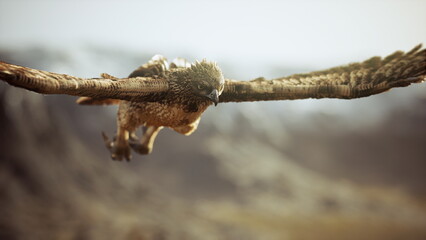 An eagle gracefully glides through the open sky, wings fully extended, with a stunning backdrop of jagged cliffs bathed in warm afternoon sunlight. Nature reveals its power and beauty.