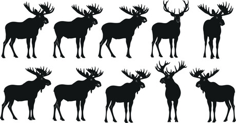 Black moose silhouettes collection with large antlers, wildlife animal vector illustration set for nature, forest, hunting, outdoor, Canadian themed design