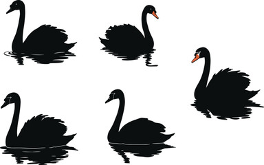 Collection of black swan vector silhouettes swimming on water with reflections, elegant bird illustration design for nature, wildlife, and decoration