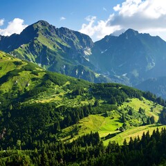 Lush mountain valley under a partly cloudy sky