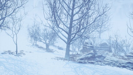 A peaceful winter landscape showcases bare trees amidst an untouched layer of snow. The soft blue hues create a calm atmosphere, inviting quiet reflection in nature’s beauty.
