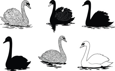 Elegant swan vector illustration set with black silhouettes and floral decorative patterns, beautiful birds swimming