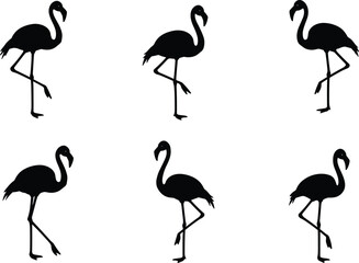Set of elegant flamingo silhouettes standing on one leg, tropical bird vector illustration for design, decoration, nature, wildlife and artwork