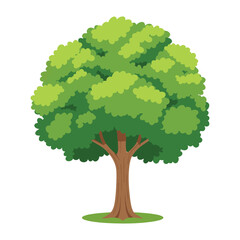 A simple and charming cartoon tree with a lush, rounded green canopy and a sturdy brown trunk, perfect for nature icons. vector illustration