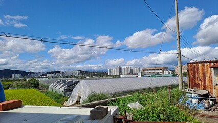Rural and urban contrast with greenhouses and city buildings