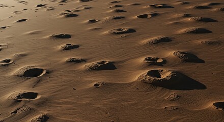 Desolate desert landscape with countless footprints in the sand suggesting a long journey.
