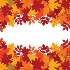 A vibrant frame of red and orange autumn leaves, creating a top and bottom border with a blank white copy space in the middle. vector illustration