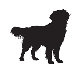 Golden Retriever Silhouette Elegant Dog Profile for Various Applications