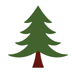 Christmas tree vector, fir tree illustration.
