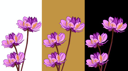 Purple flowers with several background colors, namely black, golden brown, and white, which seem to match the beautiful, elegant, and pleasant character of the flowers to be displayed on a cell phone 