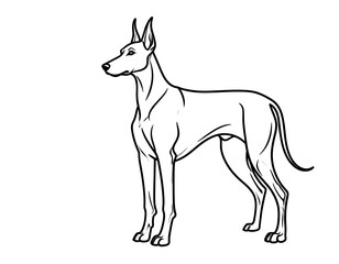 Obraz premium icon minimalist doberman vector