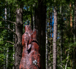 The figure of a wolf from a tree in the forest.