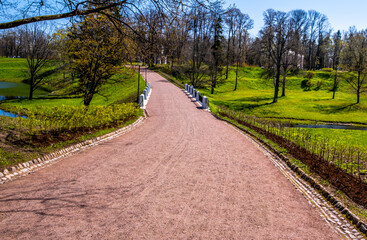 A walkway in the park among the lawns in summer.