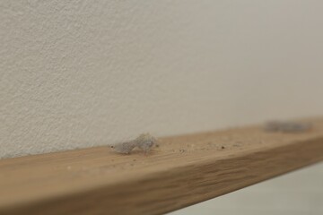 Clumps of dust on wooden surface near light wall, closeup
