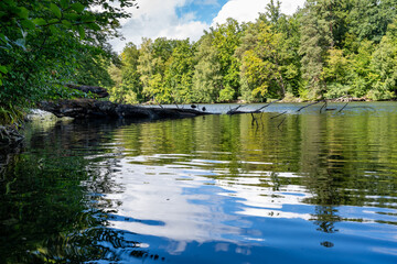 Bärensee forest lake with reflections in Stuttgart, Germany