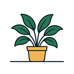 Potted plant green leaves home decor indoor plant nature growth.