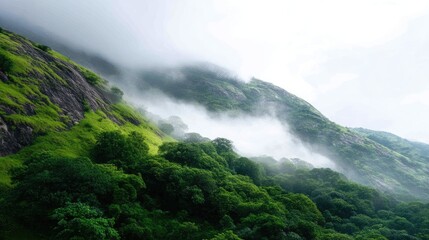 Serene Misty Mountains Surrounded by Lush Green Forest and Fog in Nature Landscape