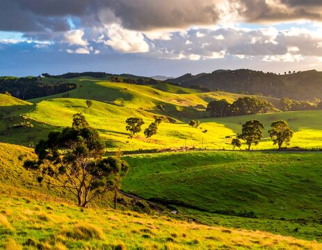 Lush rolling hills bathed in golden light