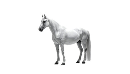 Obraz premium A digitally rendered, grey horse stands against a black background, its long tail flowing down. Muscles are subtly defined, and it faces left