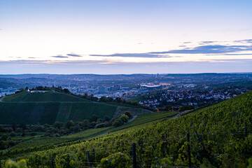 Vineyards overlooking Stuttgart city at twilight, Germany