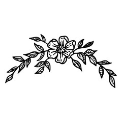 floral ornament vector illustration