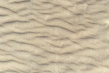 Sandy beach with rippled texture.Textured nature background