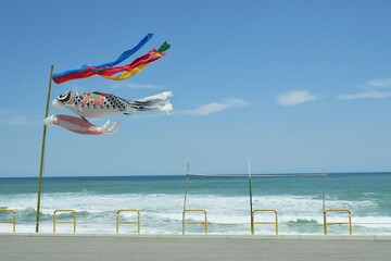 元気よく青空を泳ぐ、日本海に面した海岸に設置された鯉のぼり　島根県　益田市
