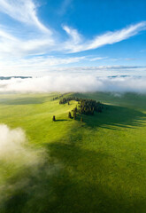 Fototapeta premium Lush green hills, dense trees, morning fog, clear blue sky.