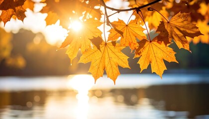 Vibrant autumn leaves, bathed in golden sunlight, frame a serene lake scene.