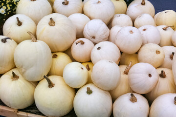 A display of white pumpkins at a farmers market