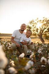 Fototapeta premium Father teaches his son to shoot a slingshot in a cotton field under warm sunlight. Tender, playful family moment of bonding, learning, and rural summer life.