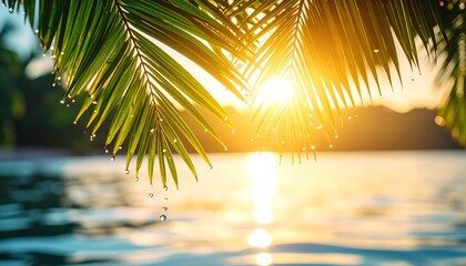 Golden sunset hues gleam through glistening palm leaves, casting a tranquil glow over tranquil water.