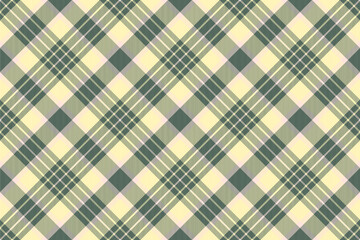 Lady pattern fabric seamless, professional tartan texture textile. Trend background vector check plaid in pastel and light colors.