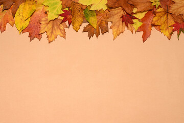 Border of autumnal colorful leaves