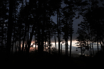 山から見る景色